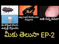 Top Unknown Facts in Telugu -మీకు తెలుసా? EP-2/The Telugu Explorer