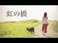 虹の橋(オリジナル)ライブバージョン