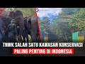 Taman Nasional Way Kambas Benteng Terakhir Gajah, Badak, dan Harimau Sumatera