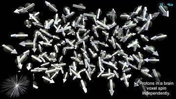 MRillustrated - Introduction 1: Signal Overview