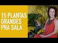 15 PLANTAS ALTAS para SALA: sugestões de DECORAÇÃO de CASA