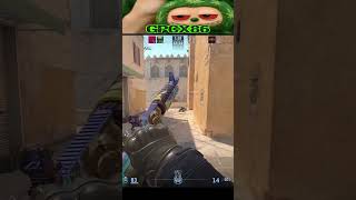 cs2 NO ESCAPE FROM THIS 🔥 | GPCx86 #short #ytshort #csgo #cs2 #standoff2 #gaming #csgomoments