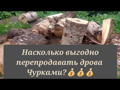 Бизнес идея на перепродажи дров. Выгодно ли покупать дрова чурками?