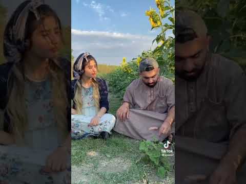 الرزق جاي