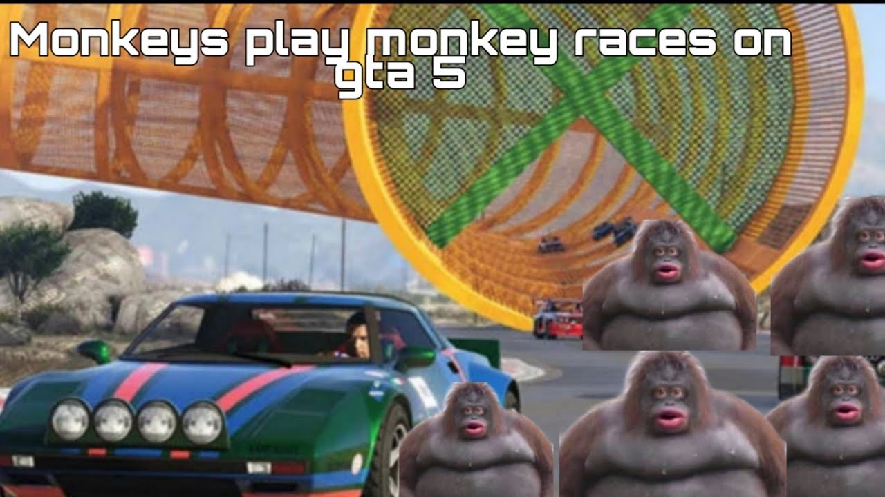 Gta 5 Races & Monkeys (Monkeys play) YouTube