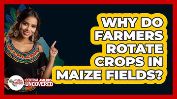 Why Do Farmers Rotate Crops In Maize Fields?