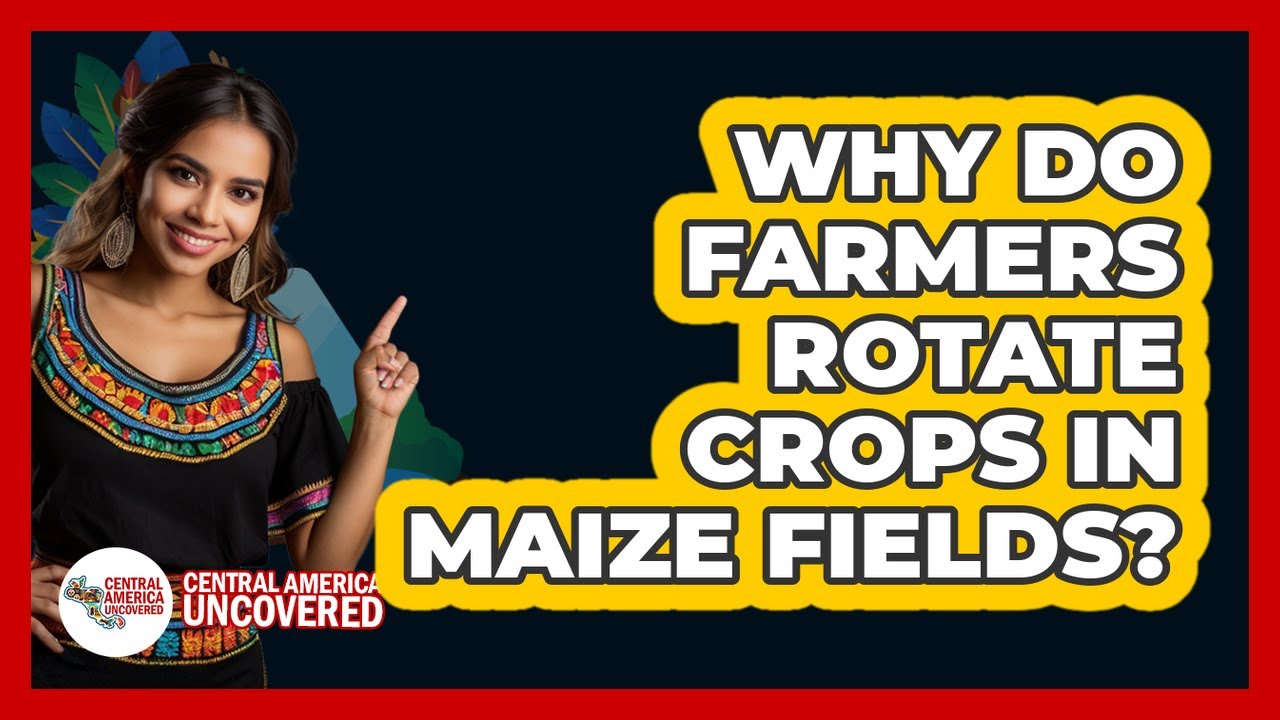 Why Do Farmers Rotate Crops In Maize Fields?