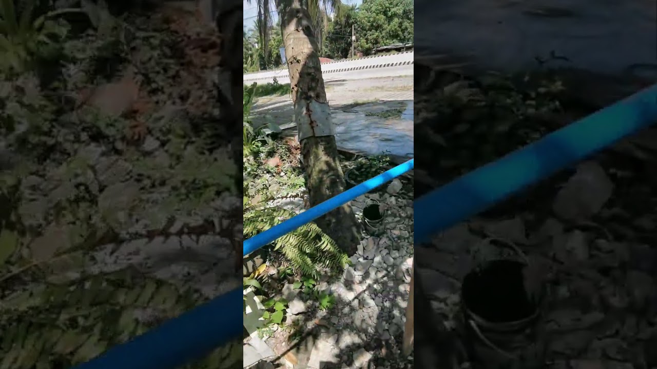 12v water pump installation and improvise  auto shutoff switch