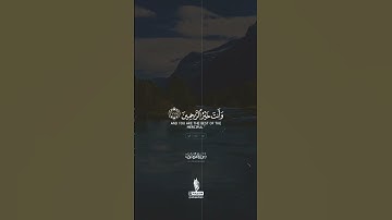 #تلاوة_خاشعة #اسلام_صبحي #قرآن_كريم #قرآن #قران #تلاوة_مميزة #