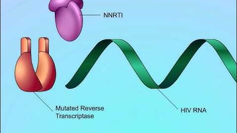 Mechanisms of NNRTI Resistance