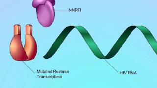Mechanisms of NNRTI Resistance