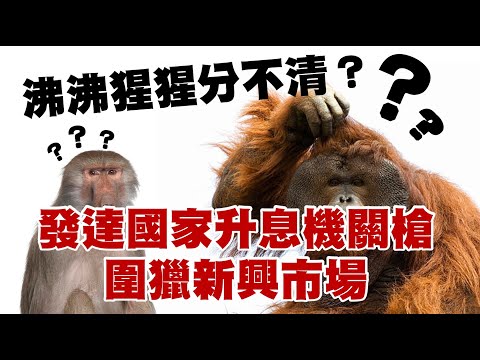 沸沸猩猩分不清？發達國家升息機關槍 圍獵新興市場 20230324《楊世光在金錢爆》第3068集