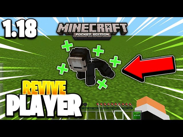 Revive Addon v2.0 for Minecraft PE 1.16/1.17