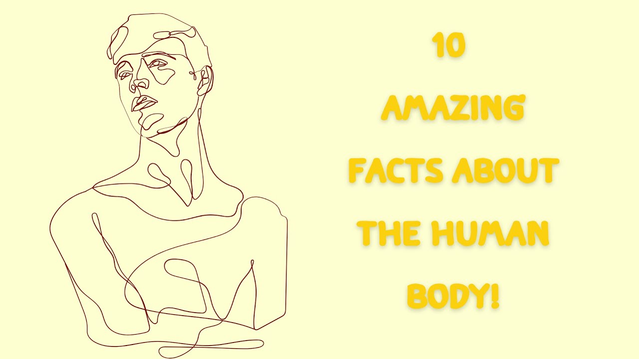 10 Amazing Facts About the Human Body! - YouTube