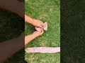 #shorts #short #shortvideo #shortsvideo #diy #craft #bow #craftideas #diyideas