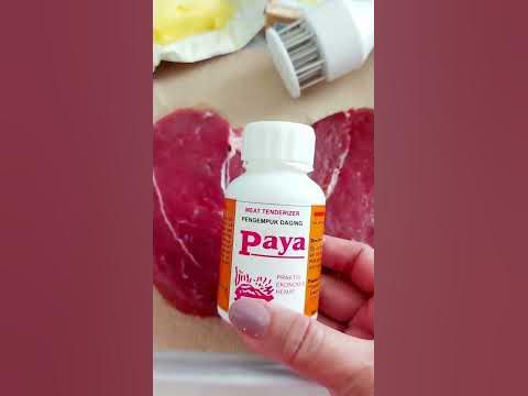 Meat Tenderizer Powder-pengempuk daging PAYA - YouTube