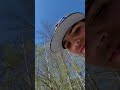 LIGHTIN UP-PRIZMGLOW!!!! COMING EARLY 2027 IN A FULL ALBUM ❤️ DEBUT SONG RELEASE!!!! COMMENT A ❤️!!!