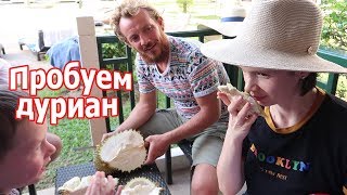 VLOG: Встретились с местными, пробуем дуриан