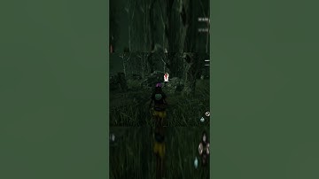 Bugs By Daylight #dbd #shortsvideo #shorts #dbdshorts