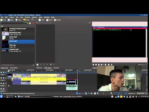 how-to-remove-"hissing-noise"-with-kdenlive-&-audacity-(linux)