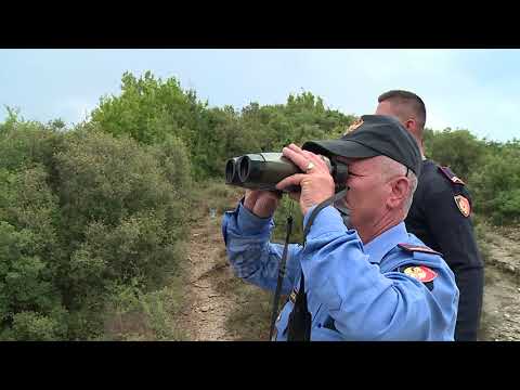 Video: Si Të Vërtetohet Shtetësia