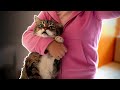 Kids vs Cats pt 2