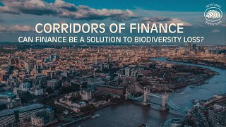 Can Finance be a solution to Biodiversity loss 