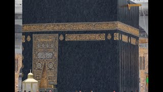 Успокаивающее чтение Священного Корана под шум дождя | Reading of the Quran under the sound of rain