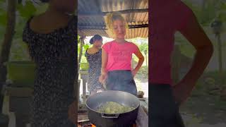 Avocado Oil  avocadooil homemaderecipes