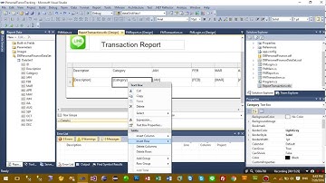 C# local database: Personal Finance Tracking : Create Report  part5 End