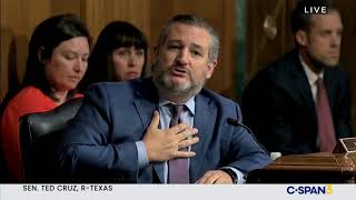 Sen. Ted Cruz questions Merrick Garland at the Judiciary Committee Hearing