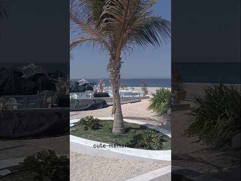 Song Dubey - Gehraiyan #sharjahbeach #beach #summer #travel #beachvibes