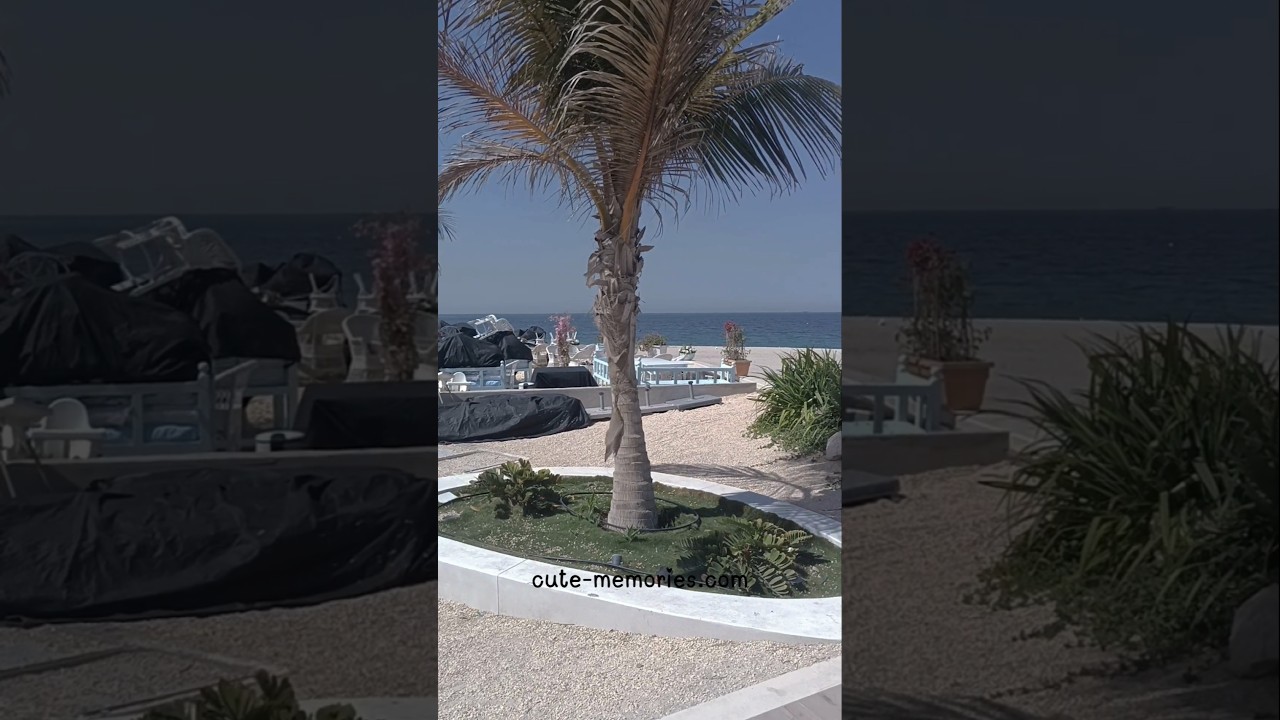 Song Dubey - Gehraiyan #sharjahbeach #beach #summer #travel #beachvibes