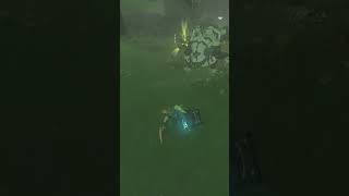 Silver Moblin Dies From Lightning - Legend Of Zelda Tears Of The Kingdom
