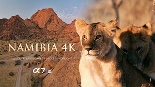 Wild Namibia 4K - Wildlife, Landscapes & Endless Horizons - Filmed on Sony A7S III & FPV Drone