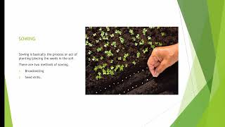 Selection of right seeds|basic practices of crop production|agriculture|Class 8 science|CBSE|NCERT