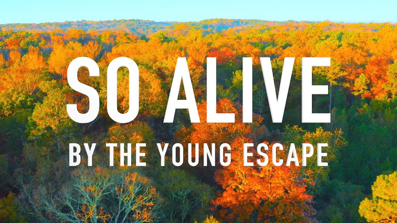 So Alive by The Young Escape [Lyric Video]