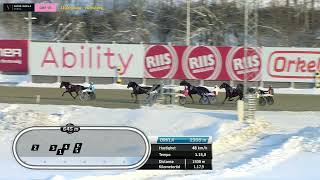 Vidéo de la course PMU PRIX DES PLATANES