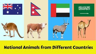 Celebrity National Animals from Different Countries | National Animals the World | Animals of the World Profile