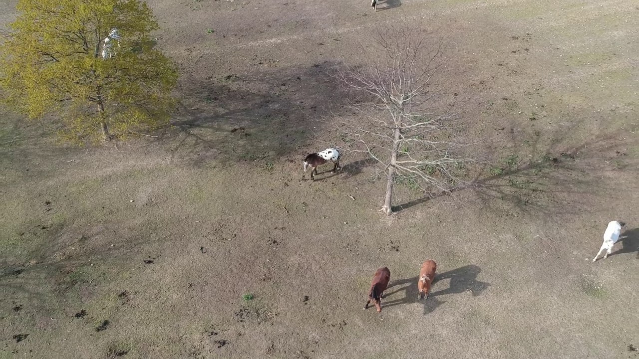 Charly (Lyon) dji spark footage [FHD]