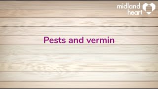 Pests and Vermin