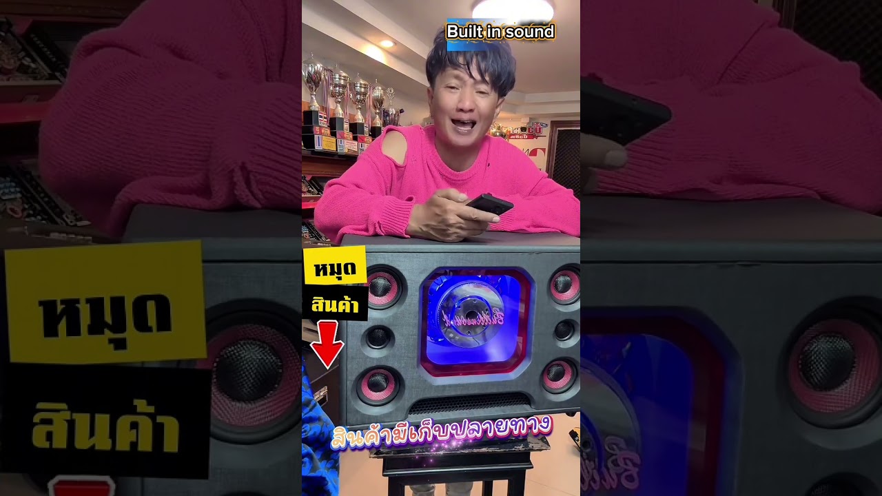 ตู้ลำโพงบลูทูธ DIY ดอกซับ 10 นิ้ว แบนพาส บิ้วอินซาวด์