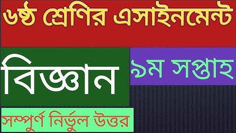 class 6 Science assignment 9th week ।। ৬ষ্ঠ শ্রেণির বিজ্ঞান এসাইনমেন্ট ৯ম সপ্তাহ।