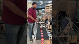 Automatic Friction Feeder with TIJ Batch Printer | High Speed Ice Cream Lid Coding Machine