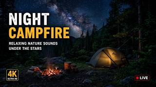 Night Campfire 🔥 | Relaxing Nature Sounds (No Ads, 4K)