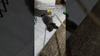 Kilo Değil Ödem I Şfet Ğlencelivideolar Şfetbeniöneçıkar