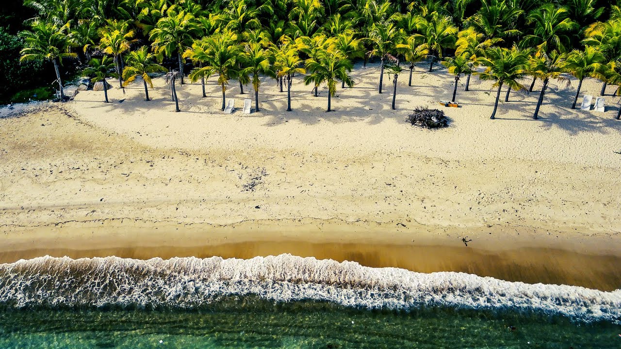 10 Hours of Waves | Palm Trees, White Sand, and Clear Water