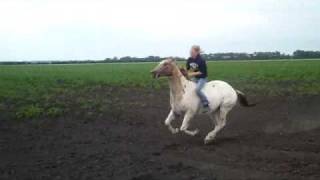 Full Speed Gallop (Bareback)