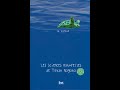 La tortue  lecture  les sciences naturelles de tatsu nagata