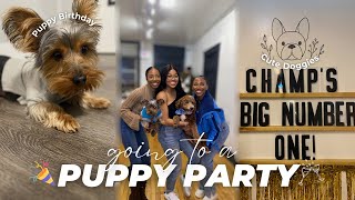 Weekly Vlog: Dog Birthday Party